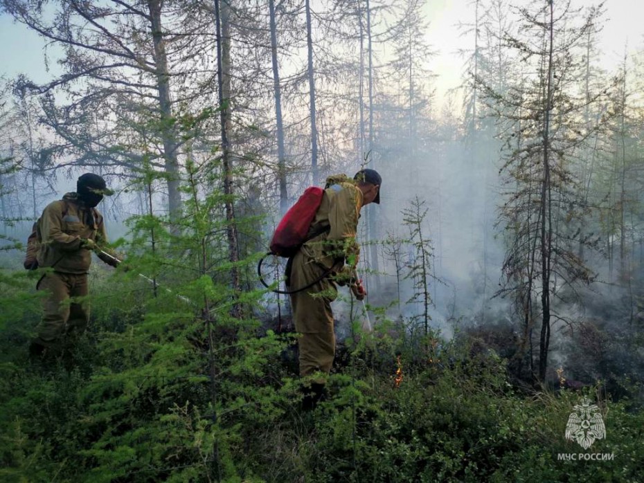 16 лесных пожаров действуют в Якутии по состоянию на 29 августа