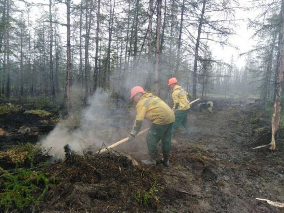 33 лесных пожара действуют в Якутии по состоянию на 5 сентября