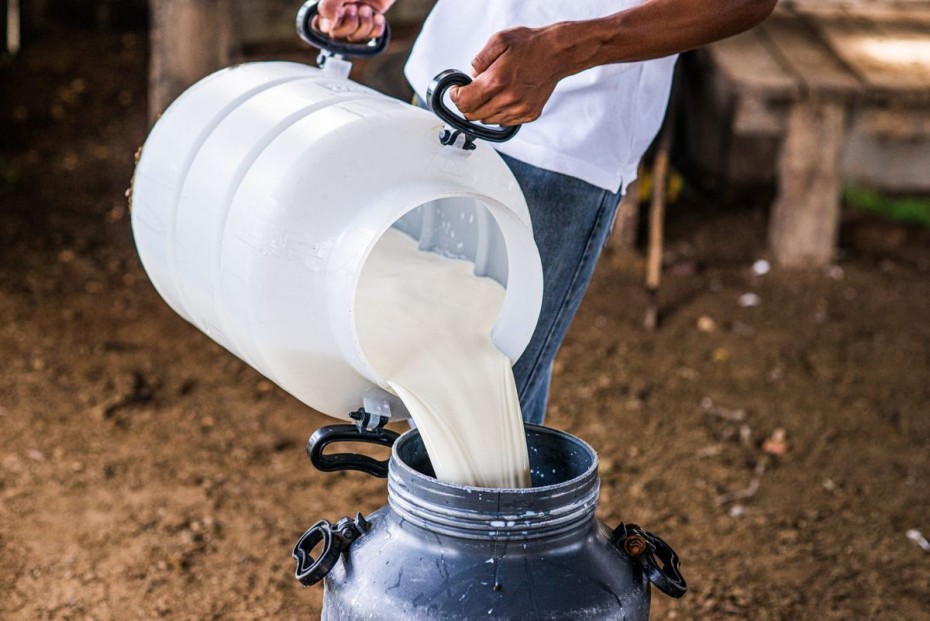Сезон большого молока: в Якутии заготовлено 63 % сырого молока к годовому плану