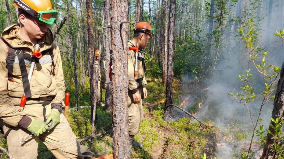 114 лесных пожаров действуют в Якутии по состоянию на 9 августа