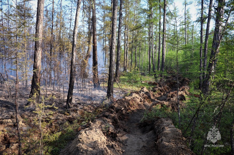 11 природных пожаров действуют в Якутии по состоянию на 28 августа