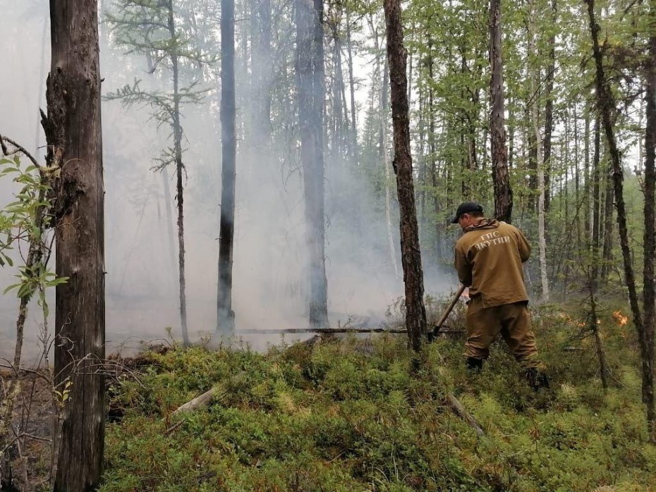 12 лесных пожаров действуют в Якутии по состоянию на 30 августа