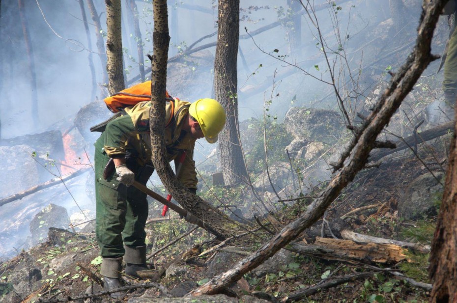 14 лесных пожаров действует в Якутии по состоянию на 7 сентября