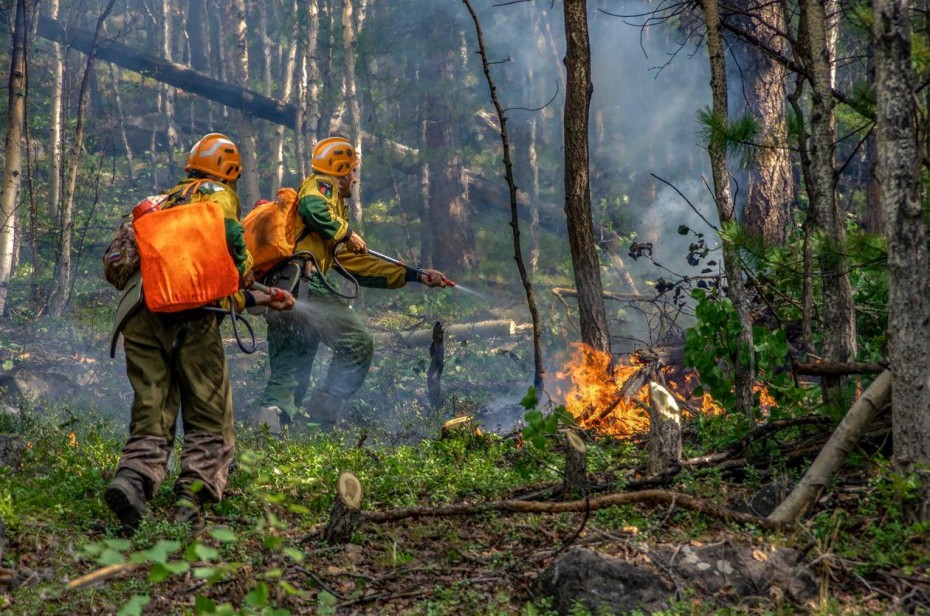 31 лесной пожар действует в Якутии по состоянию на 4 сентября