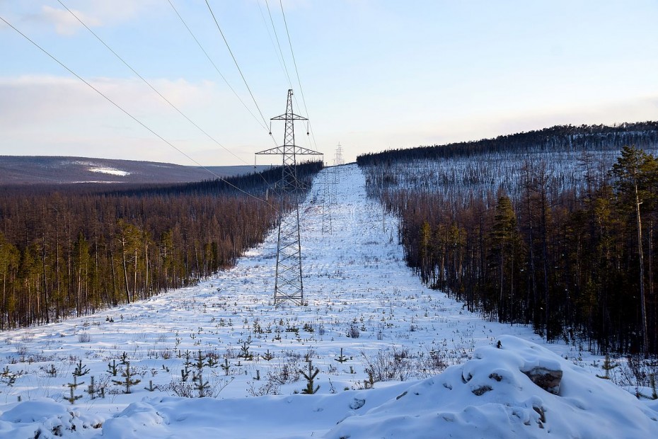По данным Рослесхоза в Якутии полностью устранены нарушения в сфере охраны лесов
