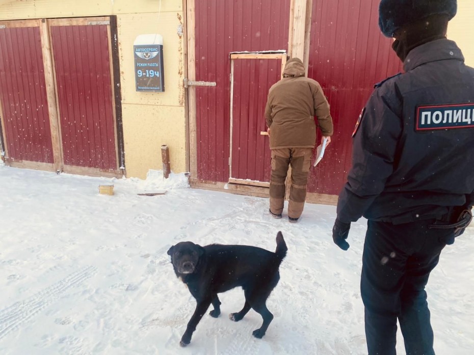 На 10 тысяч рублей оштрафовали владельцев собак за вторую неделю декабря