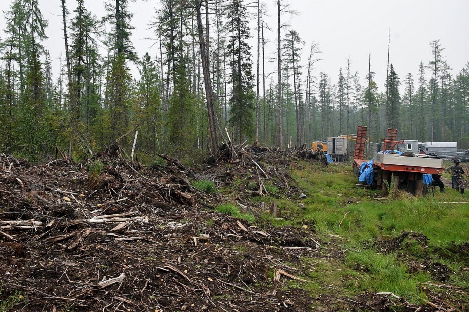 Расторжение аренды с ООО Вудленд24» за нарушение противопожарных мер требуют эко-активисты Якутии