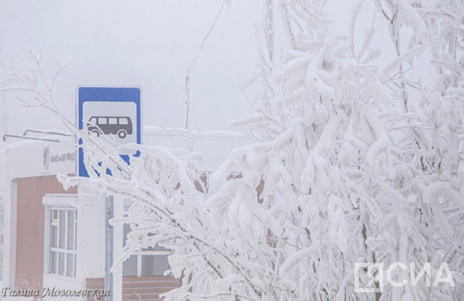 Совершившие кражу из теплой остановки в Якутске объявлены в розыск