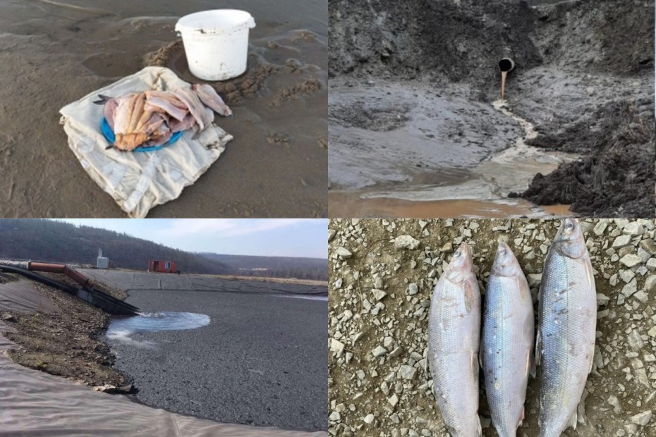 Масштаб вреда разный, а наказание несоразмерно: Почему в Якутии спрос с рыбака строже, чем с недропользователя?