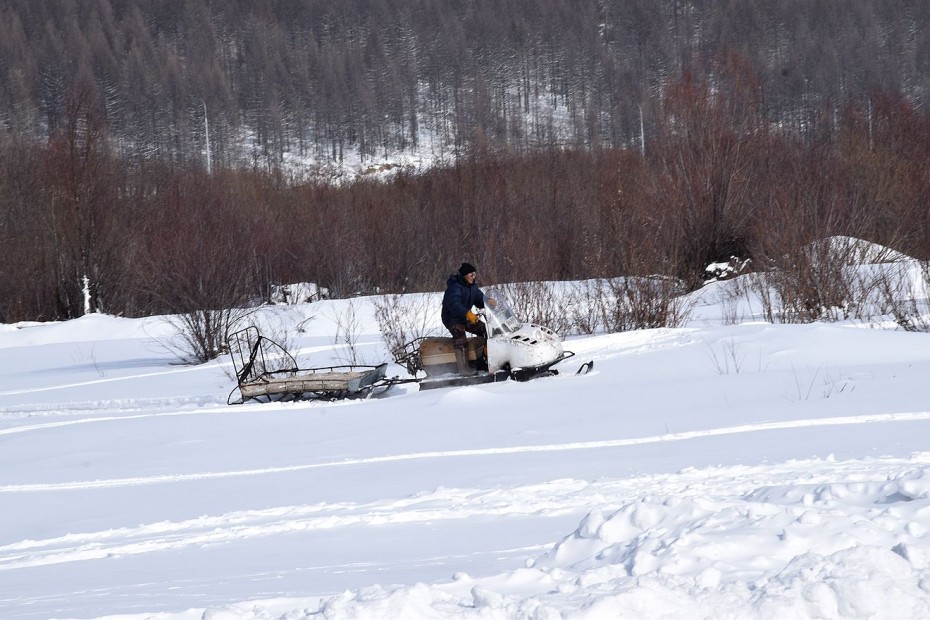Двух жителей Якутии задержали во время незаконной охоты на северных оленей