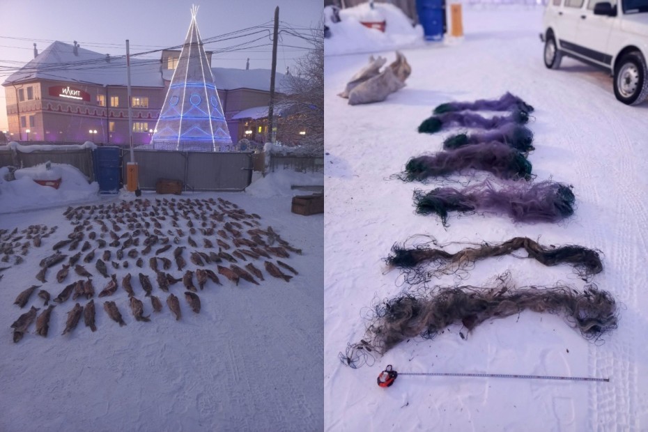 За вылов более 340 рыб с жителя Якутии взяли подписку о невыезде