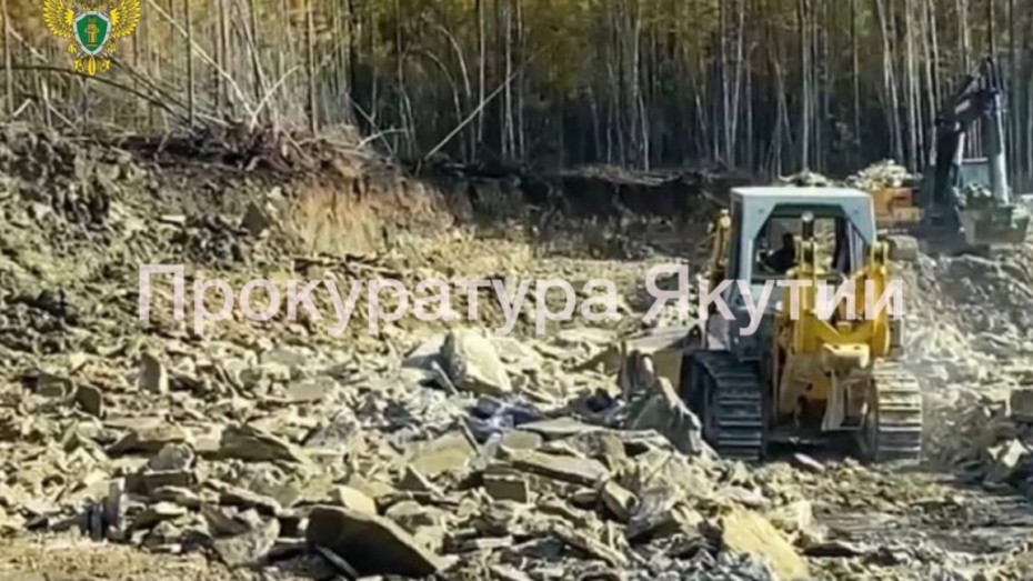 Ущерб от незаконной добычи доломита в Якутии оценили в 18 миллионов рублей