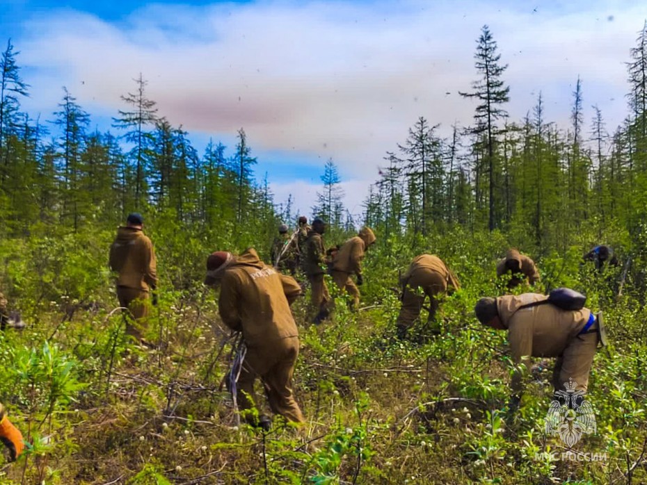 170 лесных пожаров действует в Якутии по состоянию на 25 июня