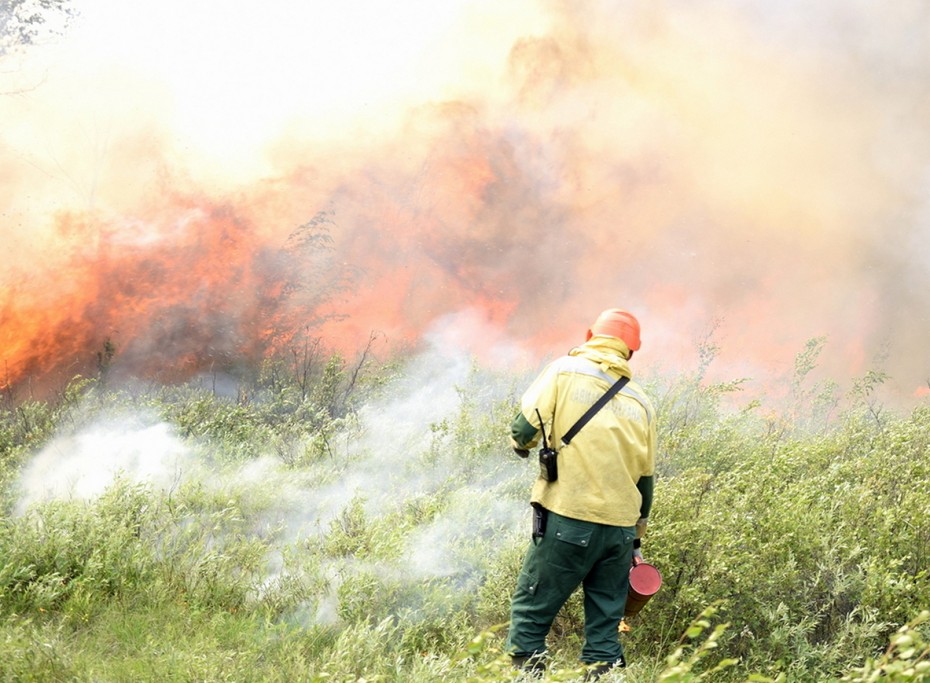 В связи с лесными пожарами в рядя районов Якутии продолжает действовать запрет на посещение леса