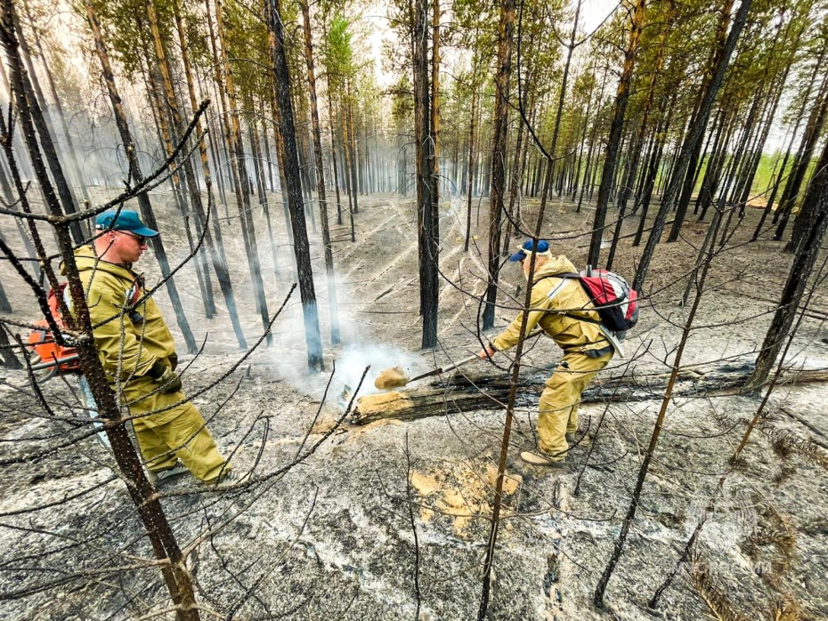 Площадь лесных пожаров в Якутии значительно сократилась
