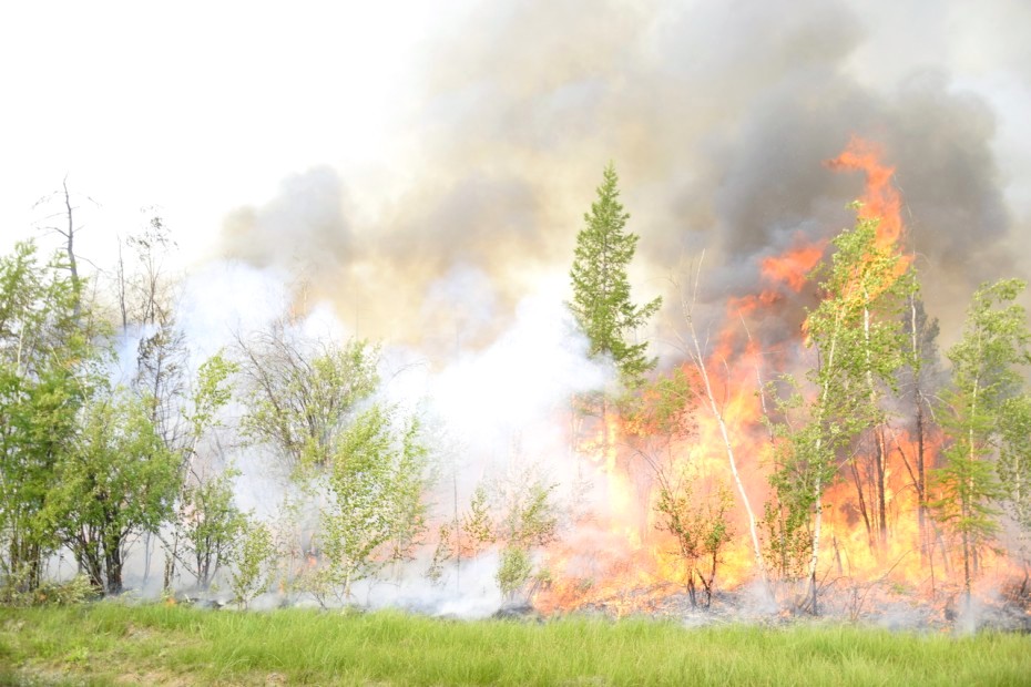 Вблизи населенных пунктов в Якутии действуют 14 лесных пожаров