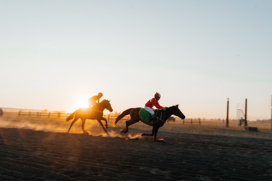 Победителем скачек на призы главы Якутска в самой престижной дистанции стала лошадь якутской породы