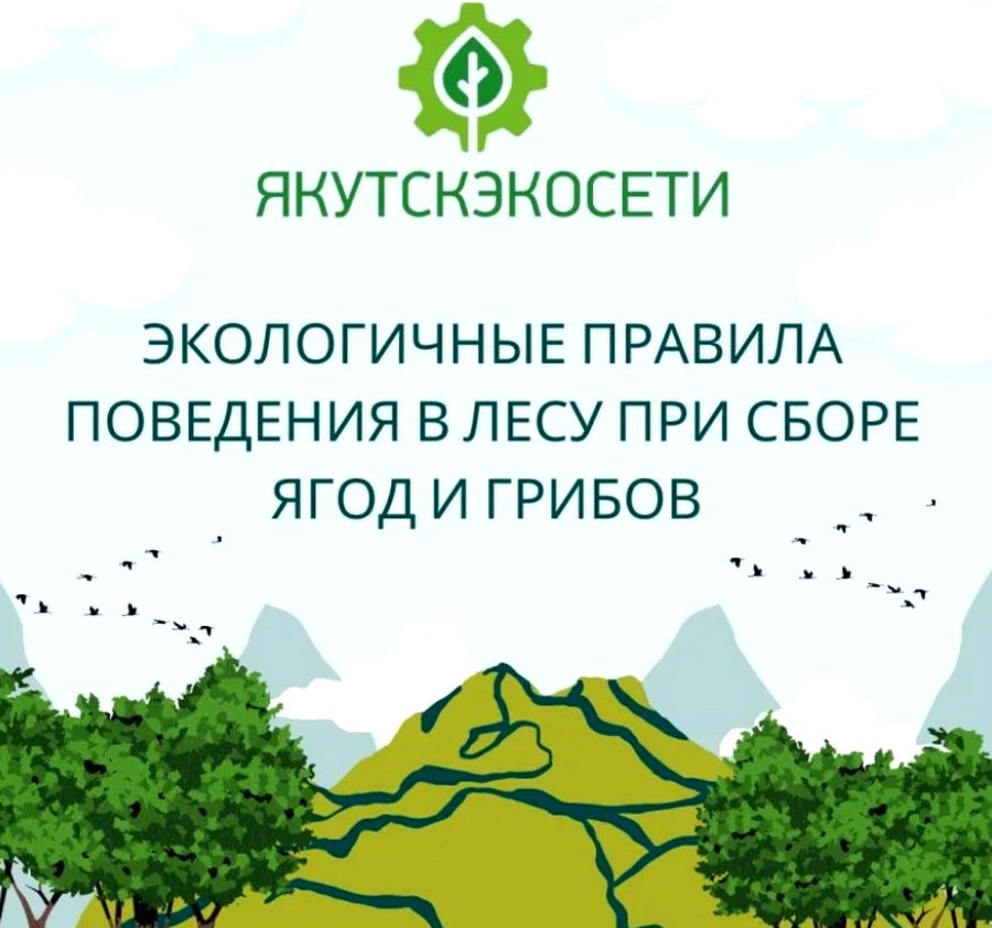 «Якутскэкосети» пояснили экологические правила при сборе ягод и грибов