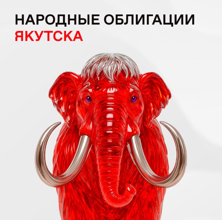 Администрация Якутска впервые разместит народный выпуск облигаций