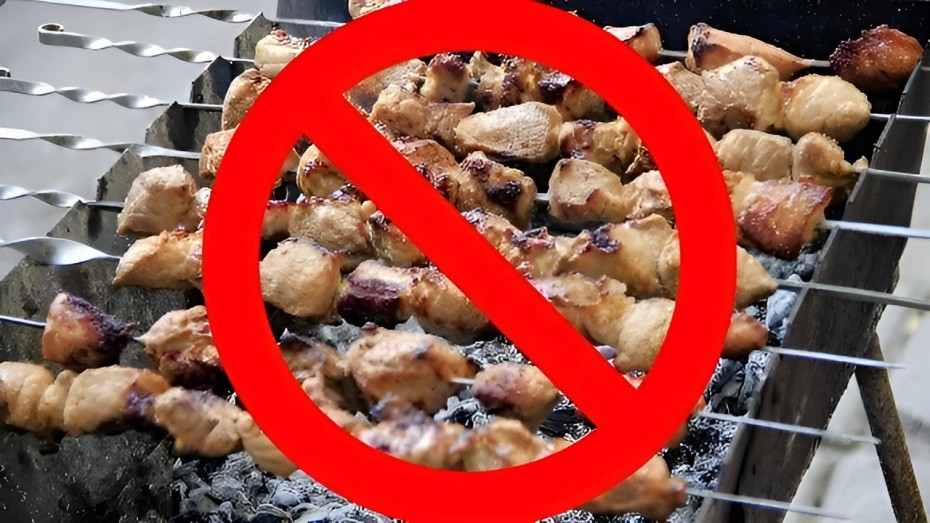 В Якутске введён особый противопожарный режим: въезд в леса запрещён, мангалы — под запретом